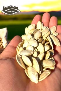 Çerezlik Kabak Çekirdeği Çiğ ( topak )